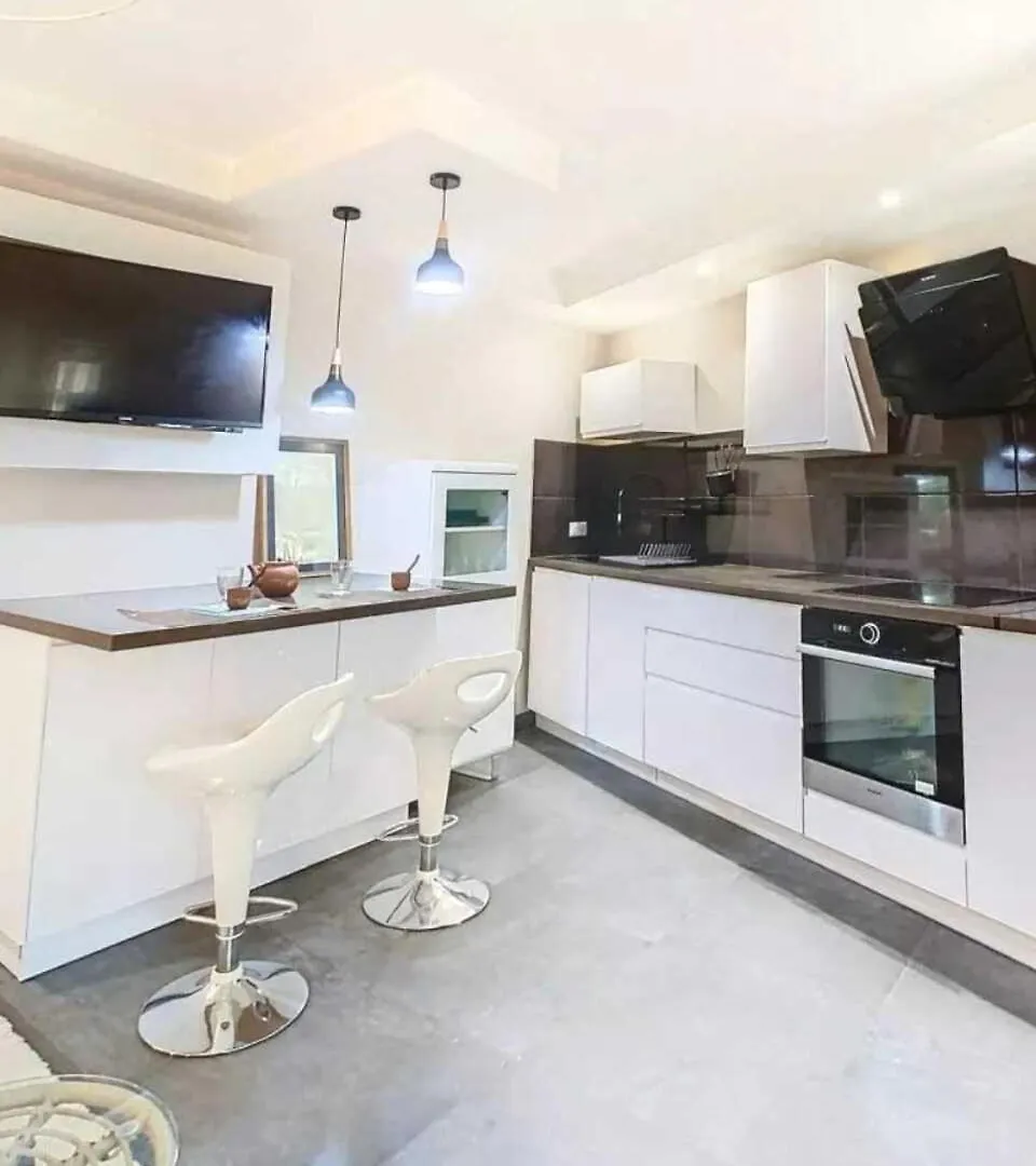 F3 4 Pers 15 Min Palace Cannes Daire